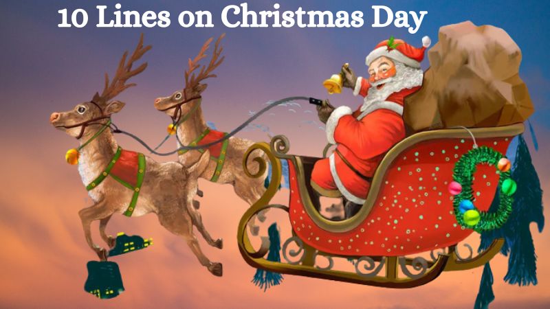 10 lines on christmas day in hindi