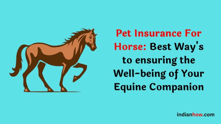 Pet Insurance For Horse