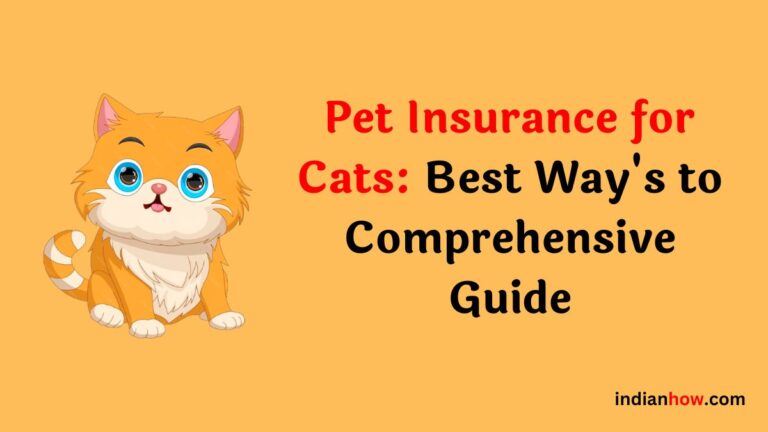 Pet Insurance for Cats